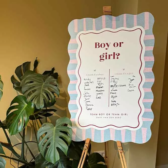 genderrevealbord