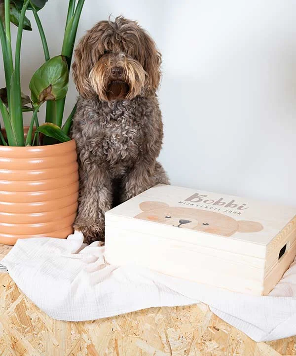 memorybox