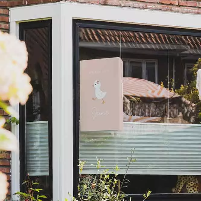 Alles over het geboortebord