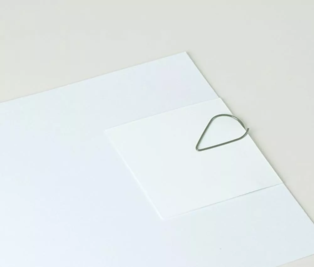 eucalyptus paperclip